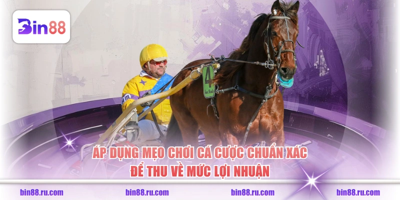 Áp dụng mẹo chơi cá cược chuẩn xác để thu về mức lợi nhuận