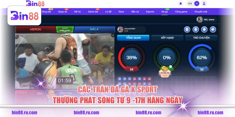 Các trận đá gà K Sport thường phát sóng từ 9 -17h hàng ngày