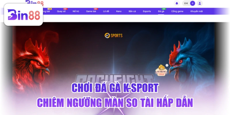 Chơi Đá Gà K-Sport, Chiêm Ngưỡng Màn So Tài Hấp Dẫn