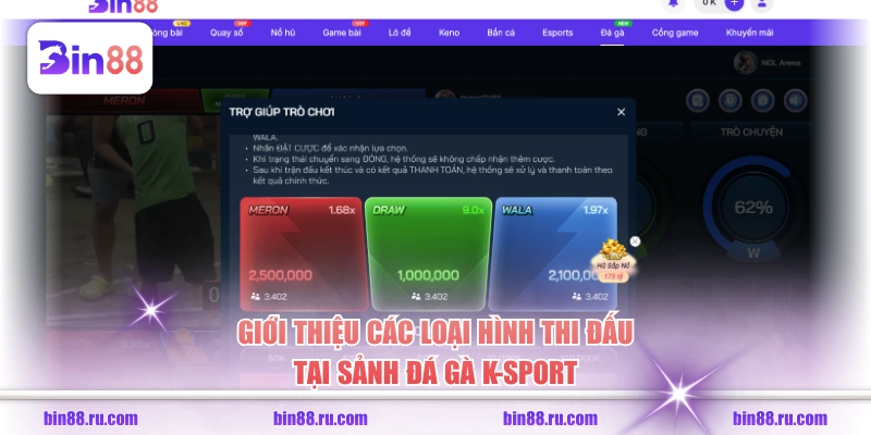 Giới thiệu các loại hình thi đấu tại sảnh đá gà K-Sport