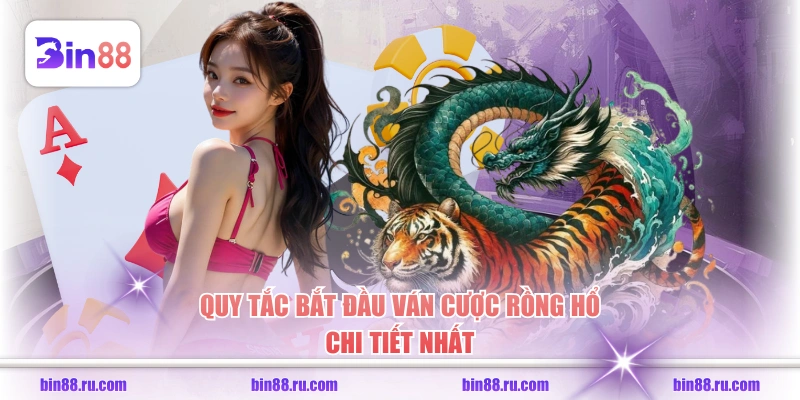 Quy tắc bắt đầu ván cược Rồng Hổ chi tiết nhất