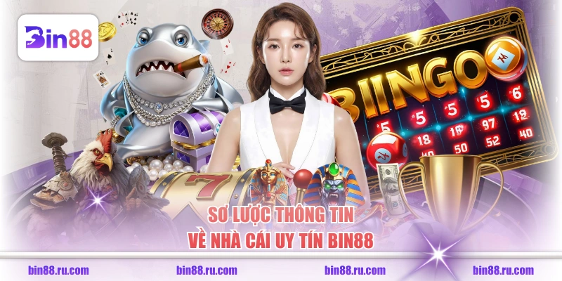 Sơ lược thông tin về nhà cái uy tín BIN88
